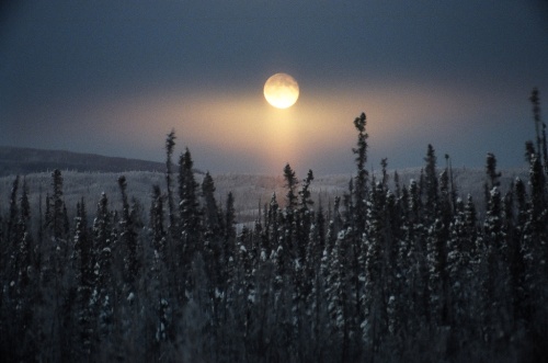 Exquisite Full Moon Frosty by David Cartier Sr Phoenix Rising Meditation