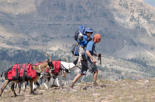 Capricorn Bruce Kirkby Adventurer Goats Backpack