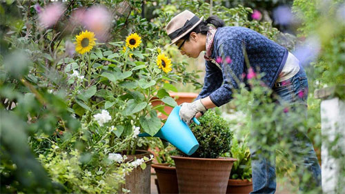 Virgo Earthkeeper Master Gardener