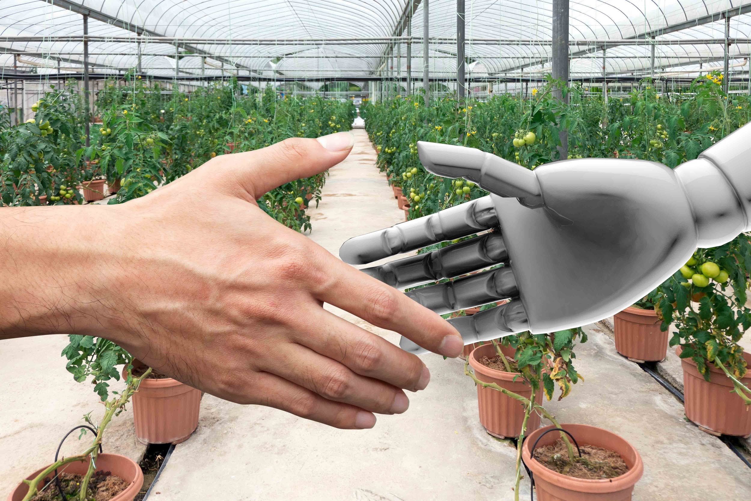 Pluto Aquarius 2023 Robotic Handshake Greenhouse
