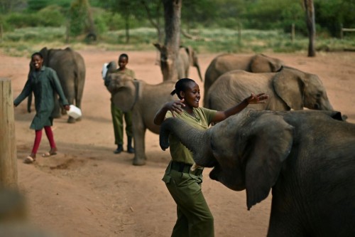 Libra 2021 Reteti Elephant Sanctuary Kenya Naomi sings to orphan