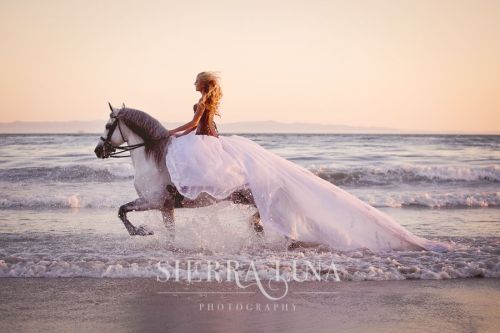 2021 Sagittarius Sierra Luna Horse Woman Gown Waves