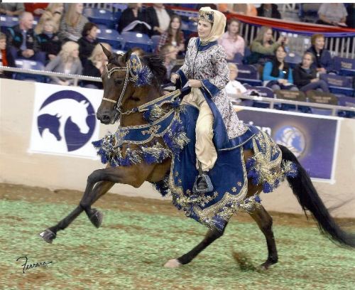 Sagittarius Arabian Horse Woman Costume in Blue!