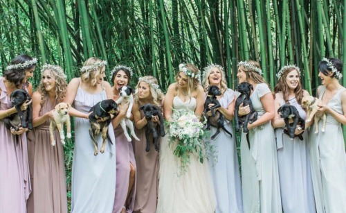 2022 Taurus Puppy Wedding Bouquet!