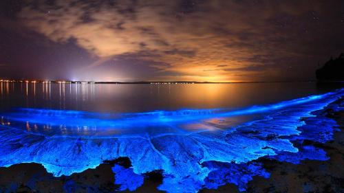 2023 Pisces-Virgo Full Moon Jervis Bay Aus Bioluminescent Plankton by Mrs JoAnn Paquette!