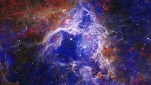 2024 Tarantula Nebula R136 Mosaic! James Webb NASA