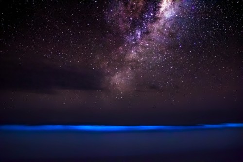 2024 Pisces astonishing New Moon Milky Way-Bioluminescence Uruguay by Fefo Bouvier!