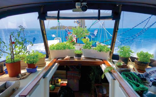 2024 Pisces Growing Veg on your Boat, enjoy Life!