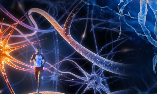 2024 Aries Mercury Retrograde NeuroScience - Health of Brain!